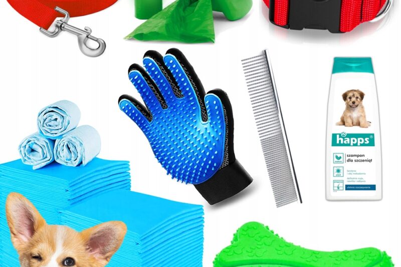 Kompletowanie idealnej wyprawki dla twojego pupila – co warto wiedzieć?