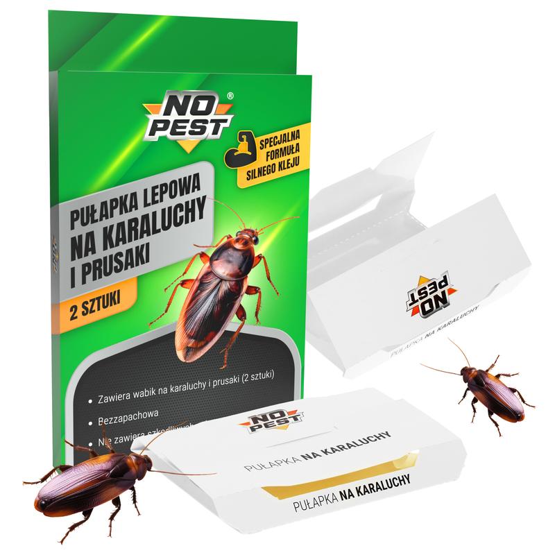 Karaluchy fakty i mity