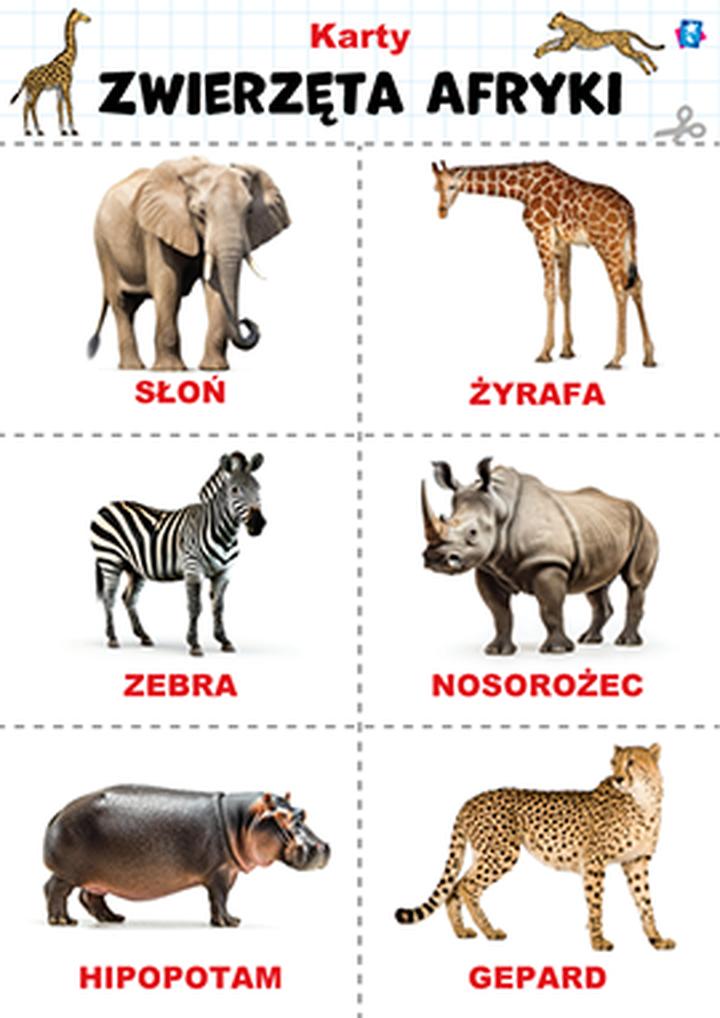 Kolorowe ptaki Afryki