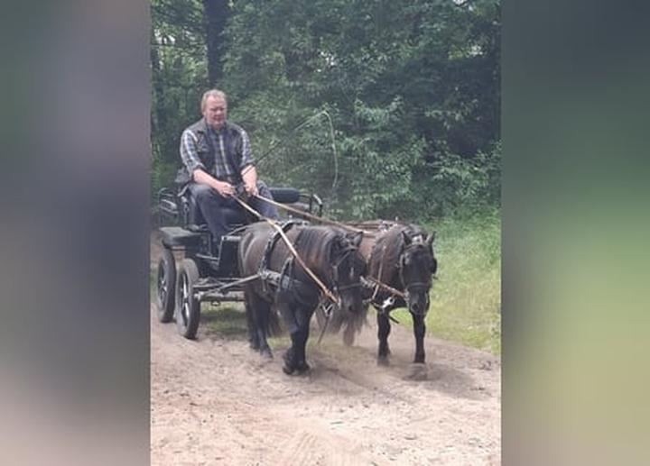 Konie zaprzęgowe tradycja