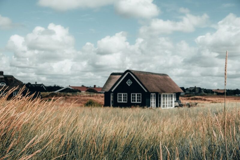 Kobieta w języku duńskim