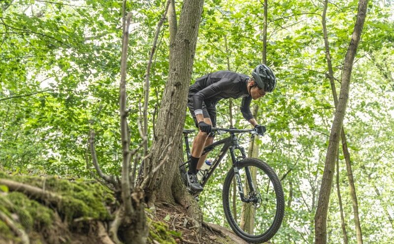 Nikt nie lubi w twarz