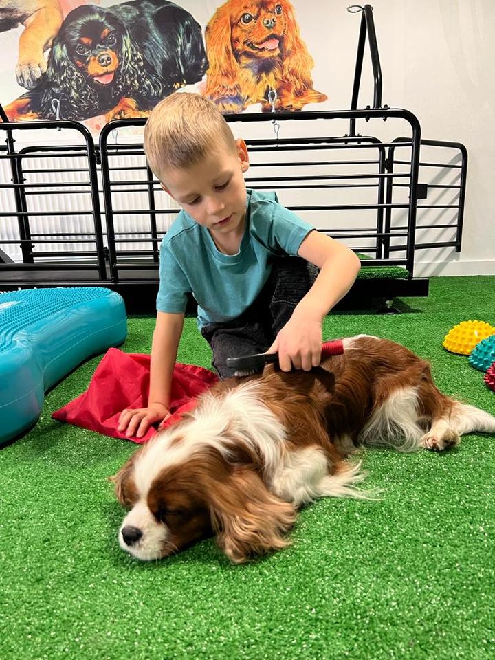 Dogoterapia i zdrowie emocjonalne