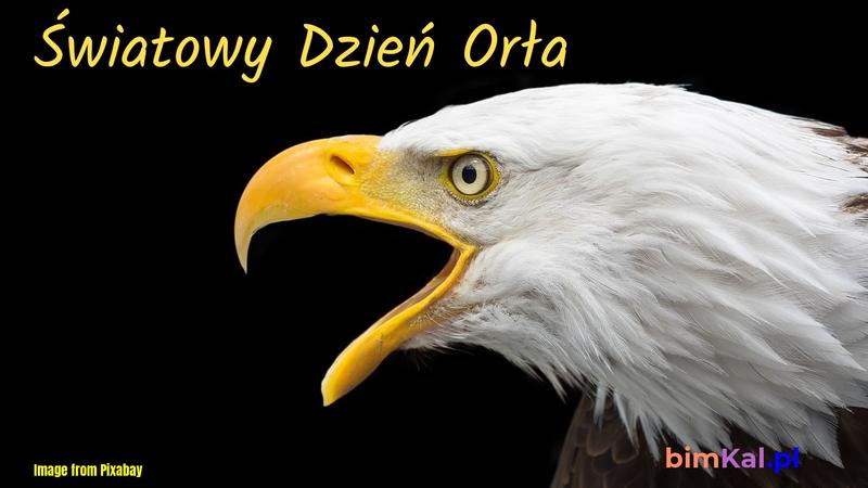 Dzień Orła dekoracje