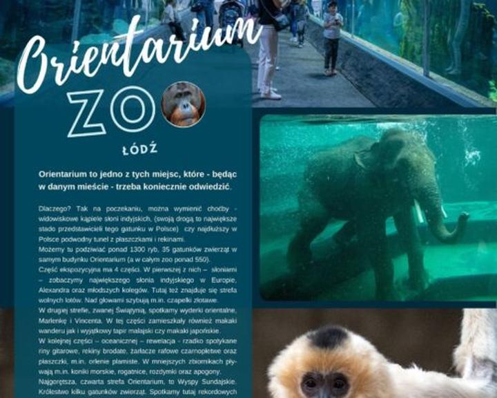 Edukacyjne atrakcje w zoo