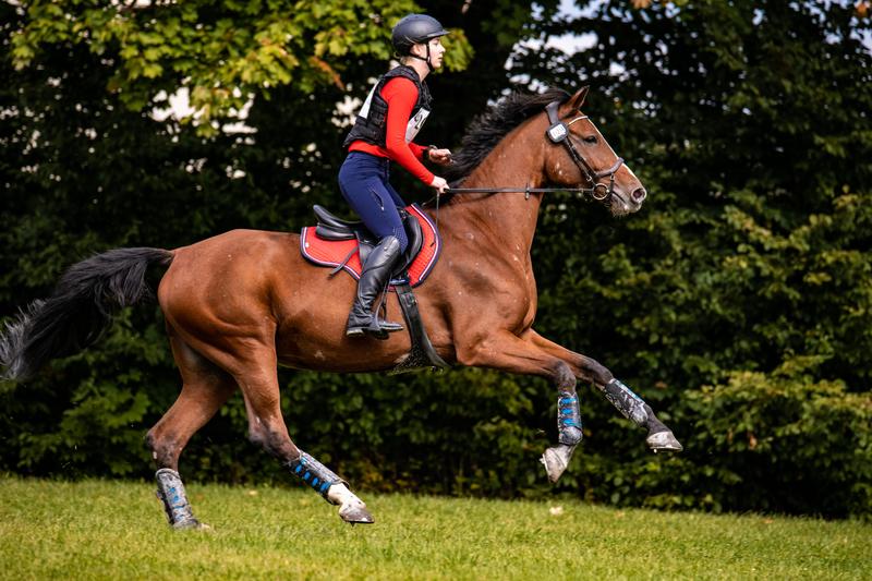 Efektywność kar i nagród