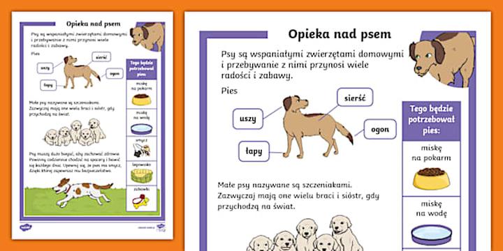 Komfortowa przestrzeń dla pupili