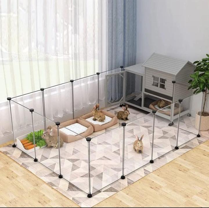 Komfortowy kojec dla królika