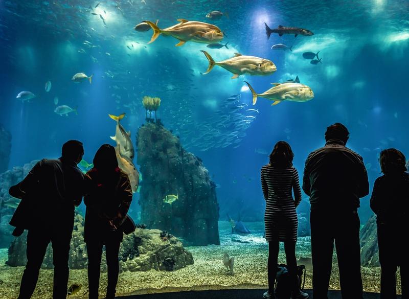 Oceanarium w Lizbonie