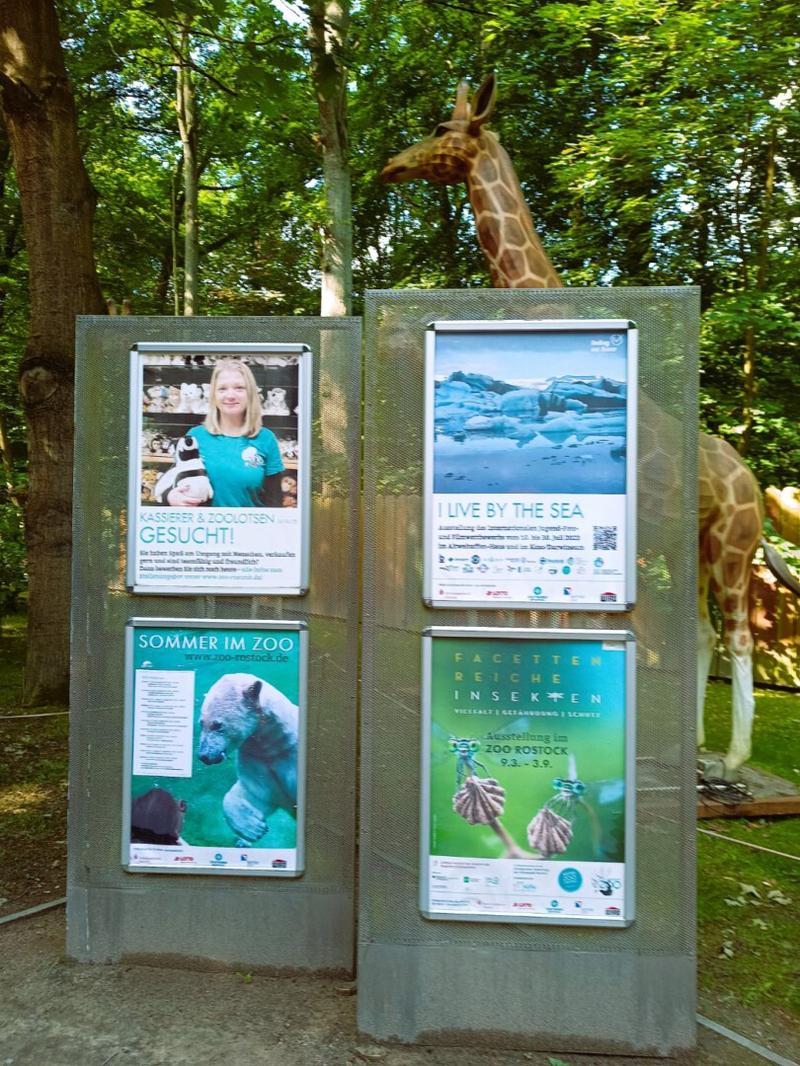 Ochrona dzikich gatunków