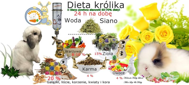 Pożywienie królików