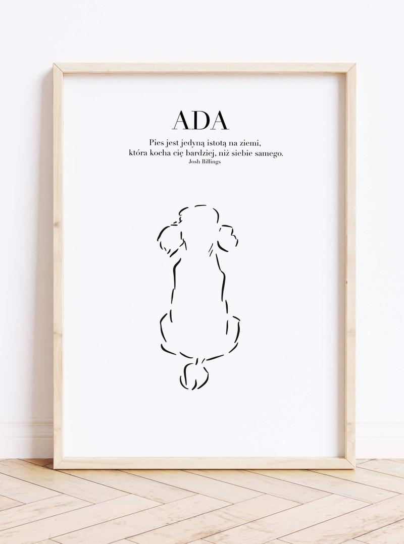 Prezent świąteczny dla psa