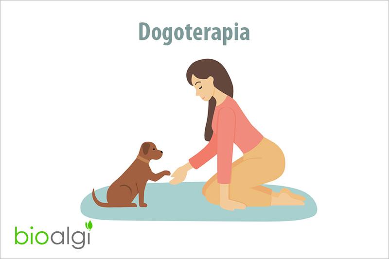 Terapeutyczne zwierzęta i rehabilitacja