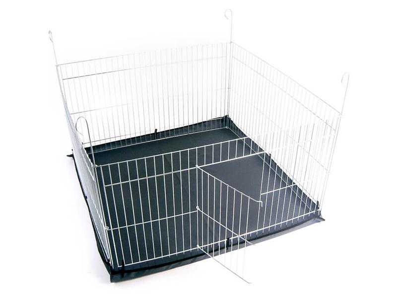 Wybór kojca dla królika