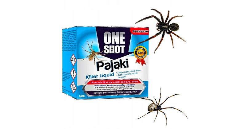 Zachowania pająków