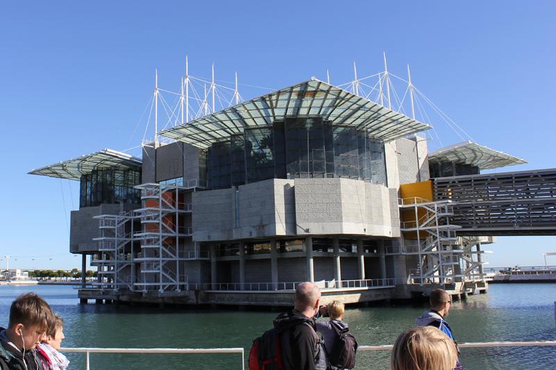 Zakończenie w oceanarium Lizbona