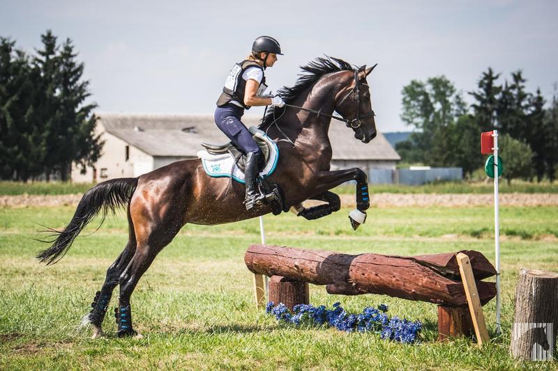 Jak kary kon wpływają na trening i zachowanie koni?