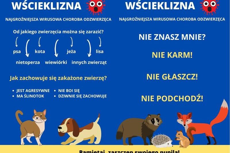 Jak rozpoznać i zapobiegać wściekliznie u ludzi?