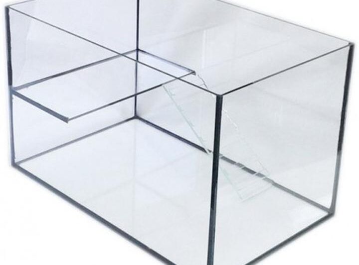 Jak urządzić idealne akwarium dla chomika w domowym zaciszu?