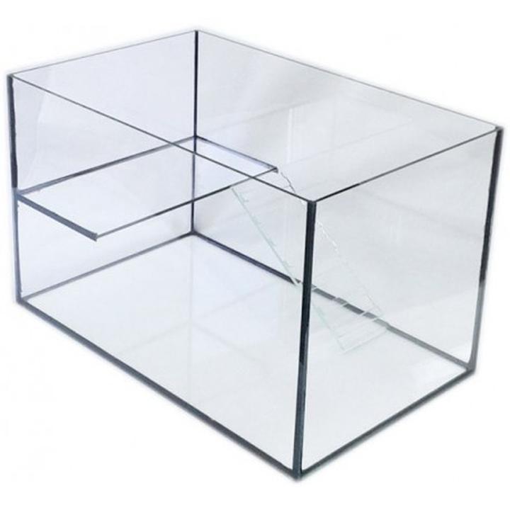 Jak urządzić idealne akwarium dla chomika w domowym zaciszu?