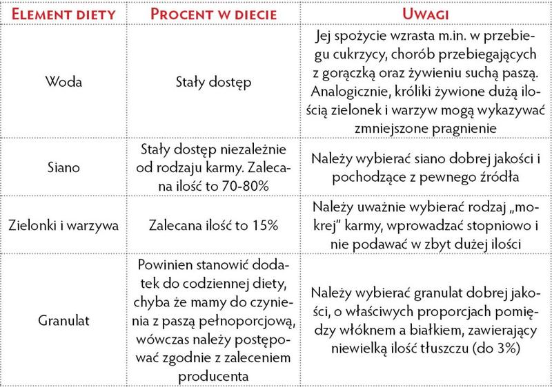 Sekrety diety królików: co naprawdę jedzą te urocze zwierzęta?