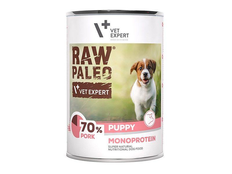 Brak apetytu u szczeniaka