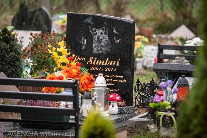 Cmentarze dla zwierząt