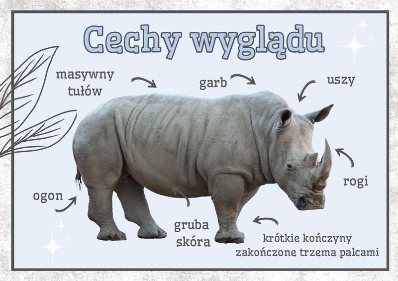 Edukacja na rzecz ochrony nosorożców