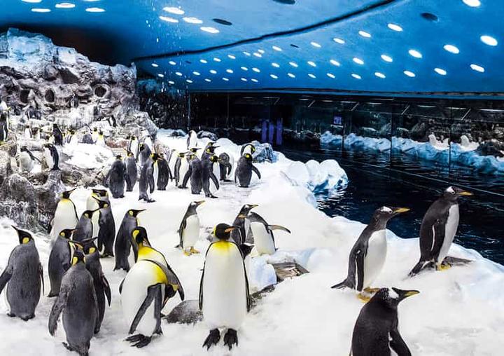 Ekologiczna edukacja