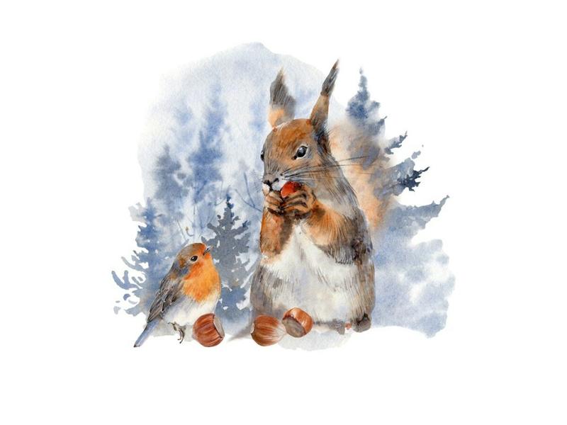 Gromadzenie zapasów na zimę