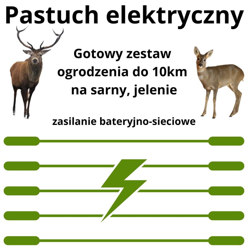 Instynkty samców sarny