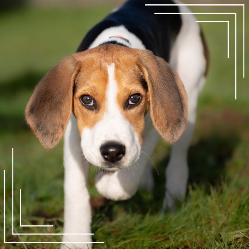 Przyczyny niechęci do jedzenia