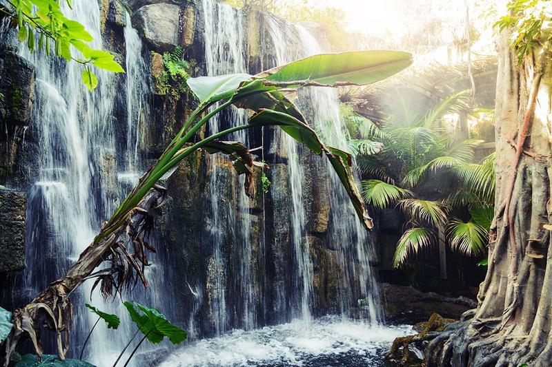 Stylowe aranżacje akwarium