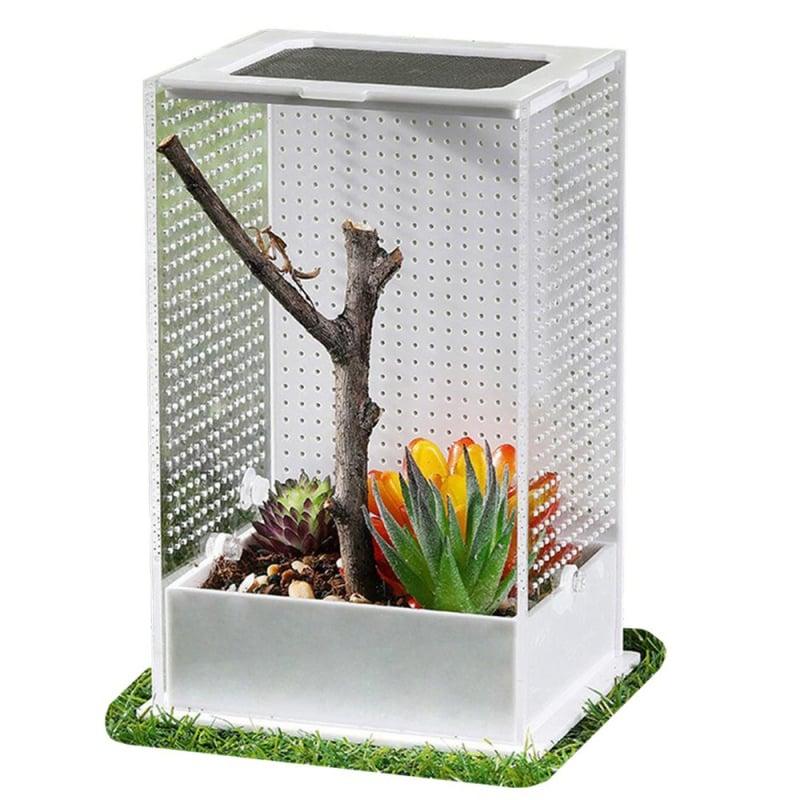 Terrarium dla patyczaka