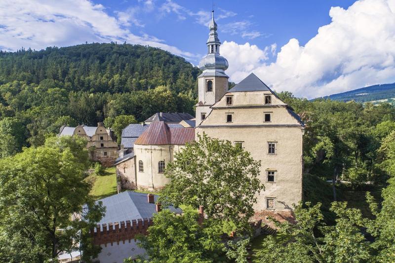 Życie samców sarny