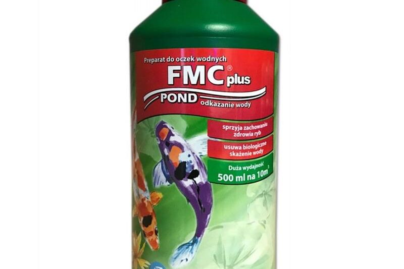 Fascynujący świat gatunków rybospa rybia – odkryj ich tajemnice w wodach morskich