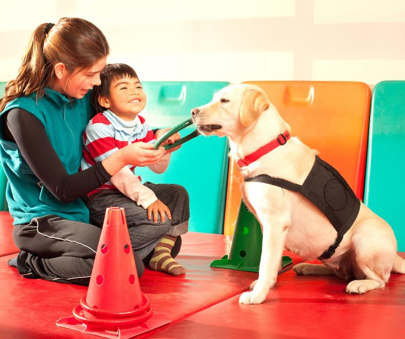 Jak Pies Może Wspierać Cię w Walce z Dentofobią