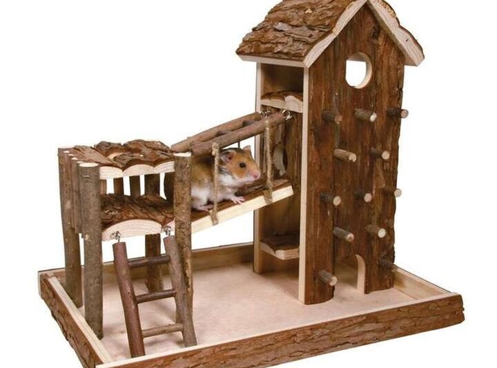 Najlepsze zabawki dla chomika: jak umilić mu codzienność?