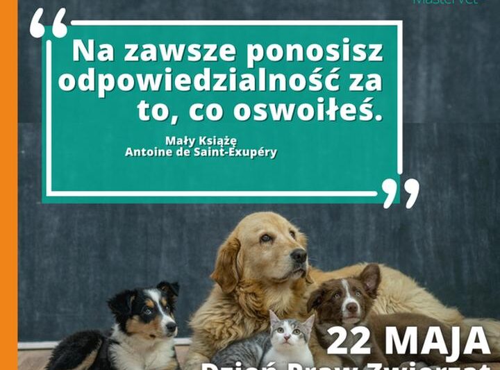 Obchody Dnia Praw Zwierząt: Dlaczego Warto Ich Bronić?