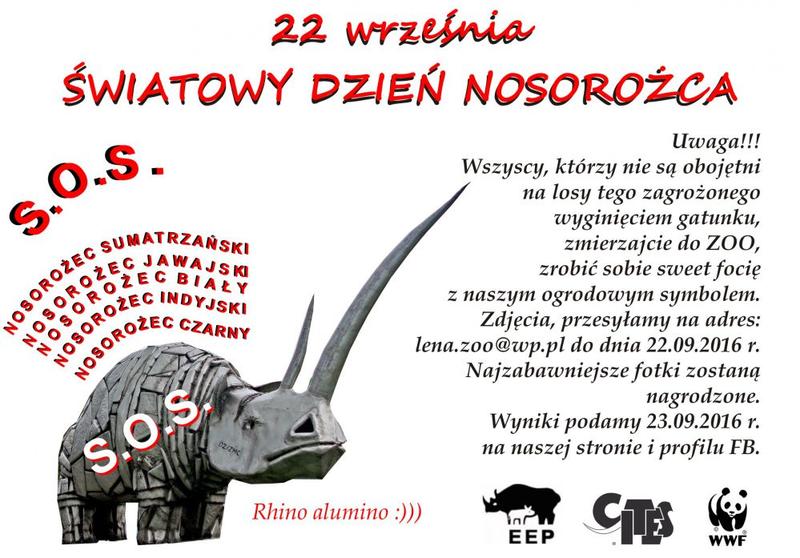 Odkryj fascynujący świat podczas dnia nosorożca