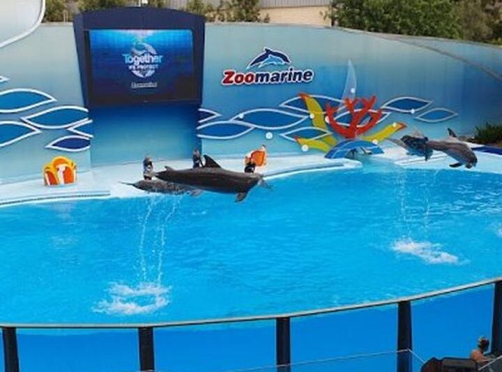 Odkryj magię przygód w Zoomarine Algarve: Twoje miejsce na niezapomniane chwile