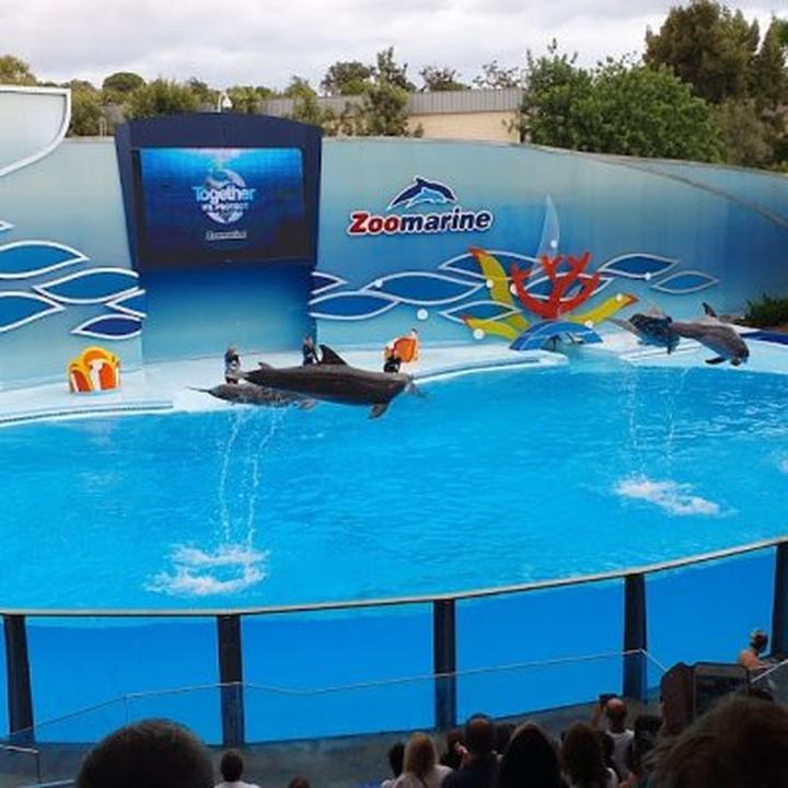 Odkryj magię przygód w Zoomarine Algarve: Twoje miejsce na niezapomniane chwile