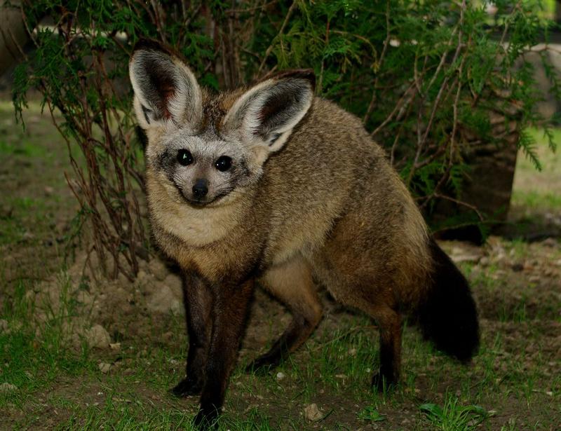 Otocjon – klucz do zdrowia i równowagi w codziennym życiu