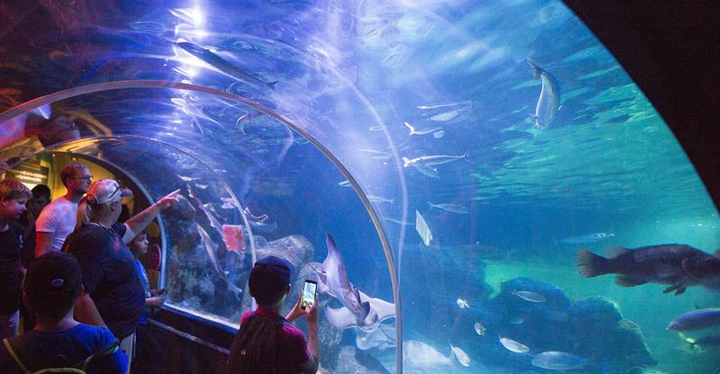 Bioróżnorodność mórz