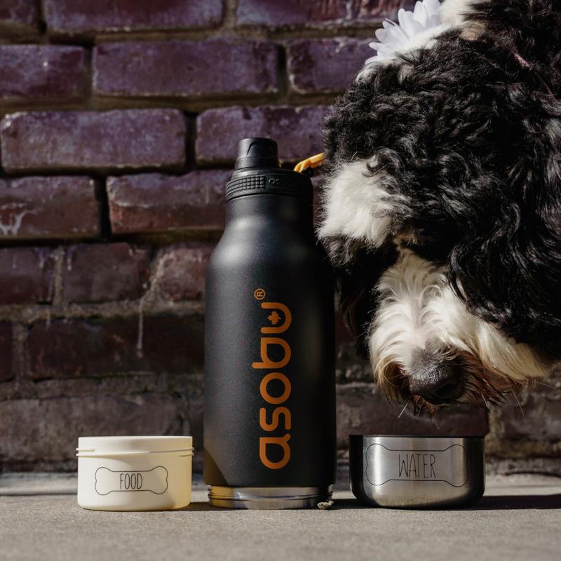 Eko-zabawki dla zwierząt