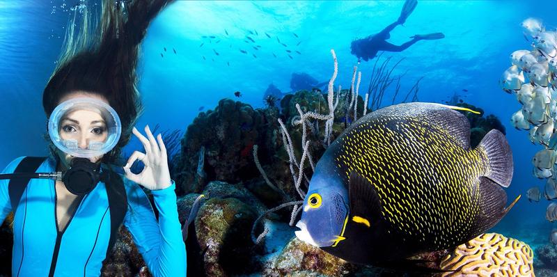 Najlepsze miejsca do nurkowania