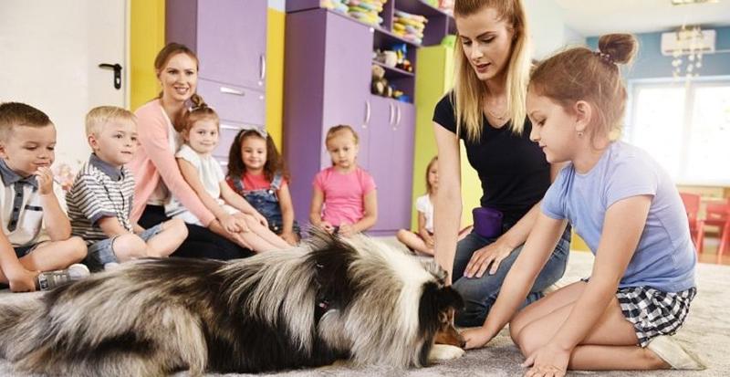 Obserwacja zachowań zwierząt