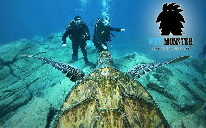 Podwodne skarby Teneryfy