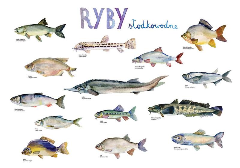 Rzadkie ryby akwariowe