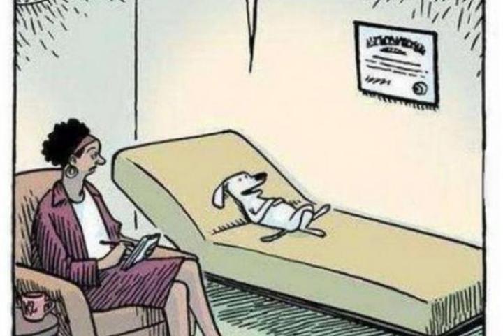 Terapia behawioralna dla zwierząt